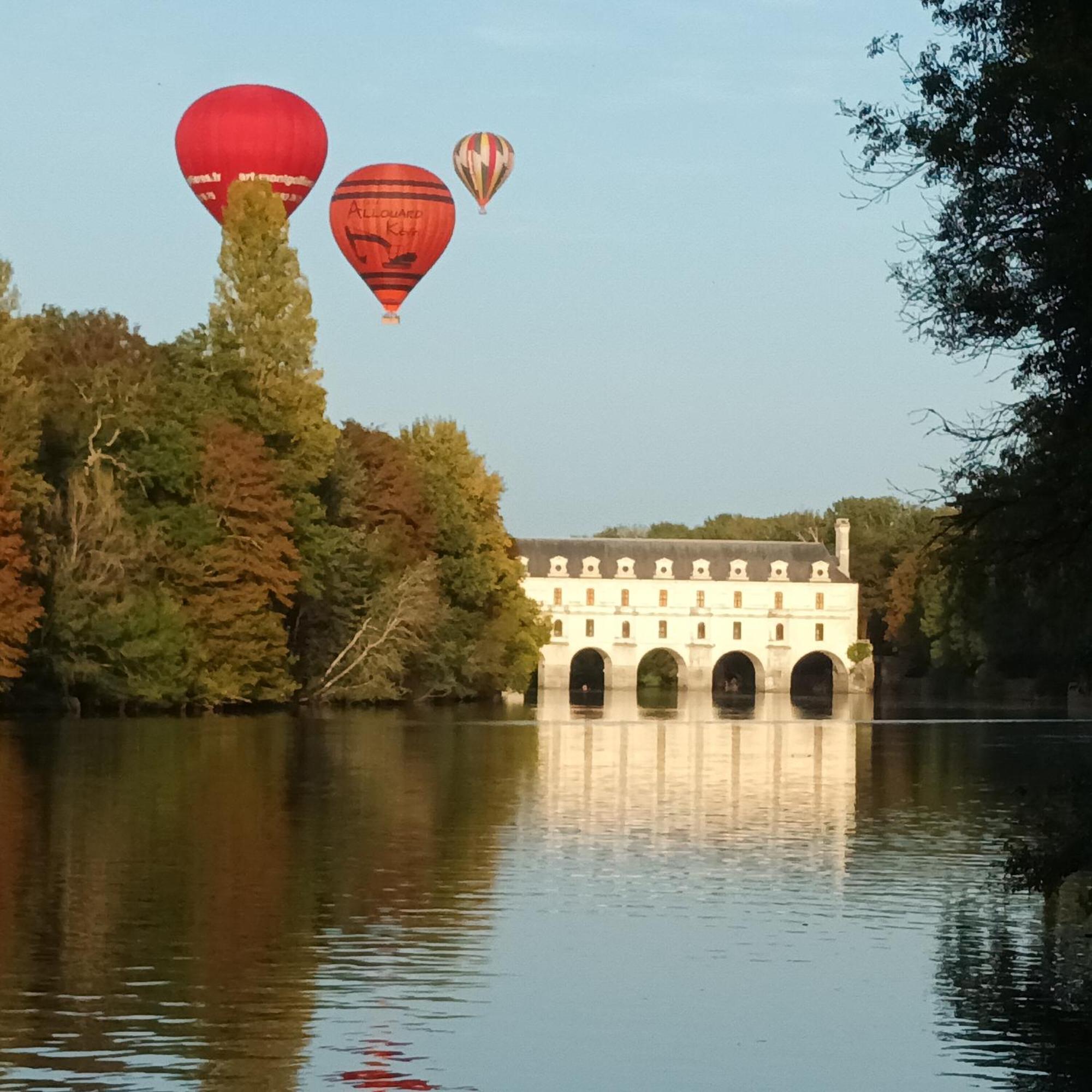 Au Nom Des Dames, Maison Et Table D'Hotes, Pres De Chenonceau Et Du Zoo De Beauval Faverolles-sur-Cher 外观 照片