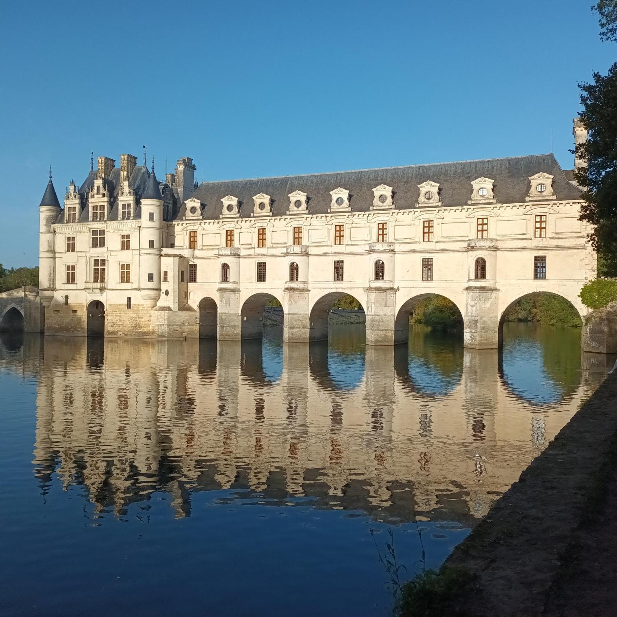 Au Nom Des Dames, Maison Et Table D'Hotes, Pres De Chenonceau Et Du Zoo De Beauval Faverolles-sur-Cher 外观 照片